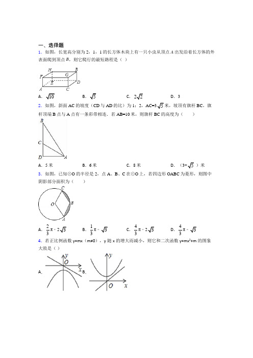 【精选试卷】福州中考数学专项练习经典练习(含答案解析) (2)