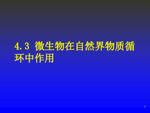 4.3 微生物在自然界物质循环中的作用ppt课件