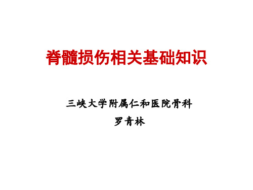 脊髓损伤相关基础知识