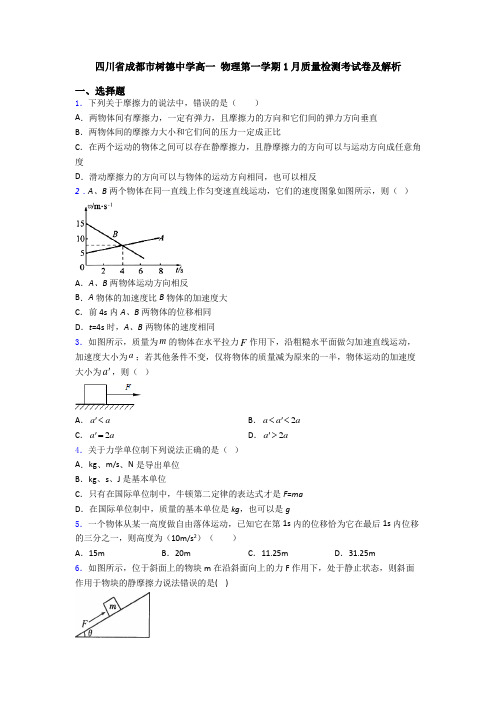 四川省成都市树德中学高一 物理第一学期1月质量检测考试卷及解析