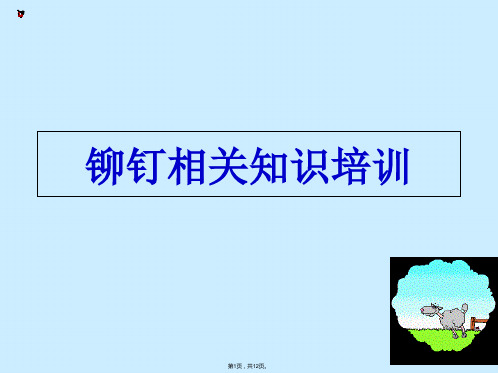 铆钉知识培训(共12张PPT)