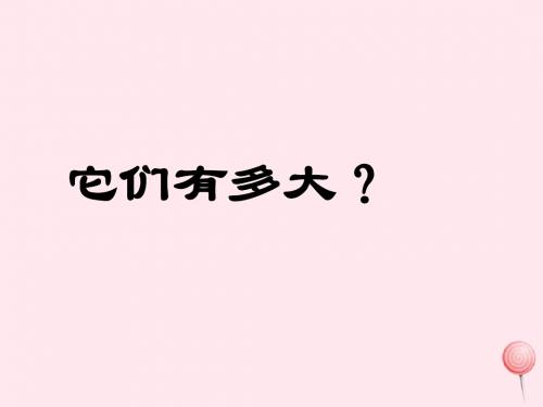 三年级数学上册第六单元《它们有多大》课件1沪教版五四制