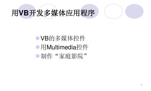 VB开发多媒体应用程序4