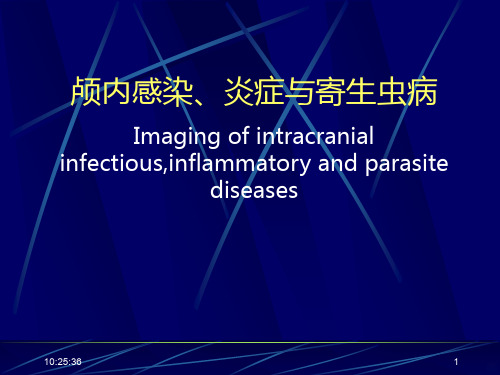 颅内感染与炎症PPT课件