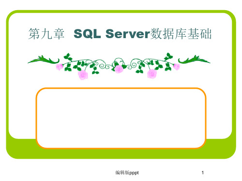 第九章__SQL_Server数据库基础PPT课件