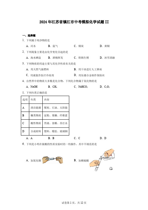 2024年江苏省镇江市中考模拟化学试题II