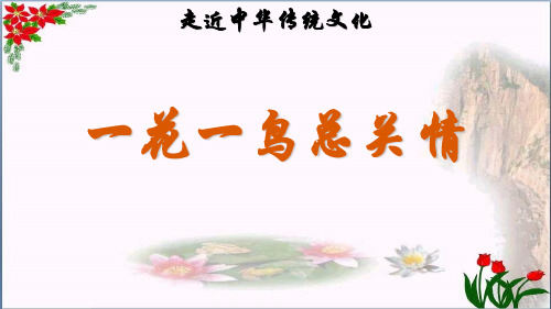  传统文化鉴赏一花一鸟总关情 人教(部编版) PPT 