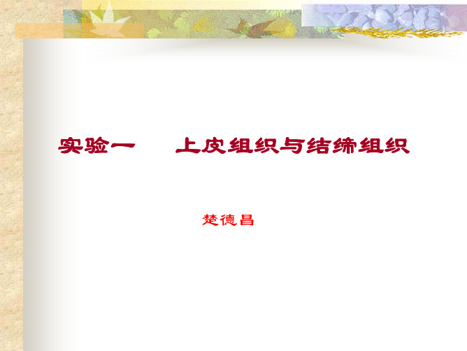 实验一、上皮组织与结缔组织