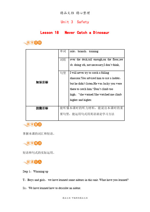 新冀教版九年级全一册英语 Lesson 18 教案