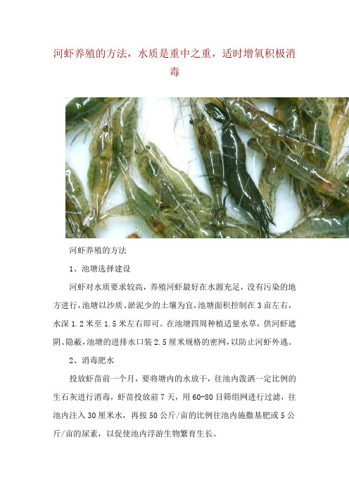 河虾养殖的方法,水质是重中之重,适时增氧积极消毒