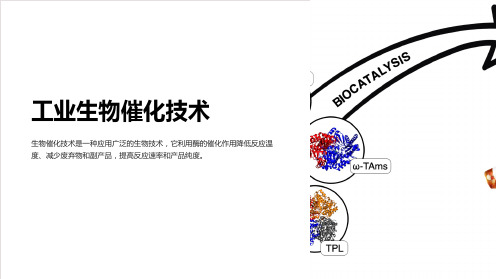 《工业生物催化技术》课件