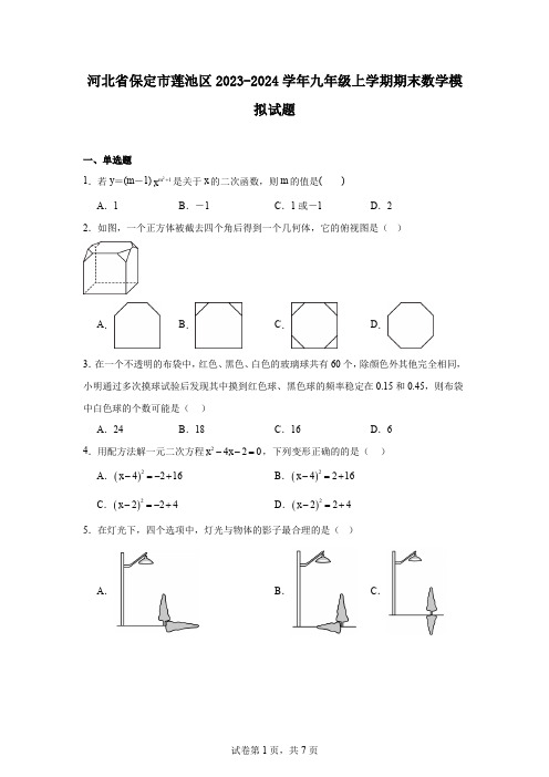 河北省保定市莲池区2023-2024学年九年级上学期期末数学模拟试题