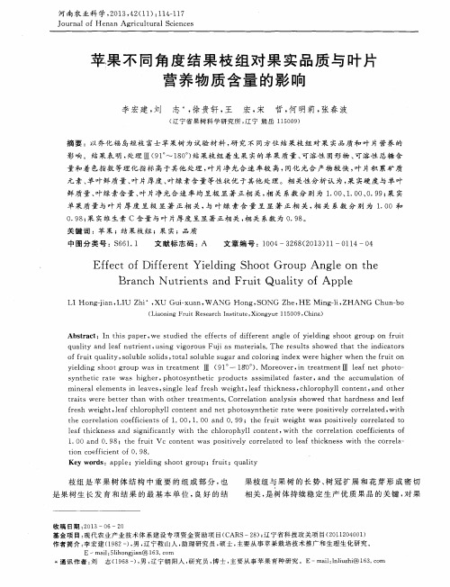 苹果不同角度结果枝组对果实品质与叶片营养物质含量的影响