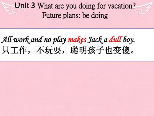浙江省泰顺县罗阳二中八年级英语上册《Unit 3 What are you doing for vacation》课件 人教新目标版