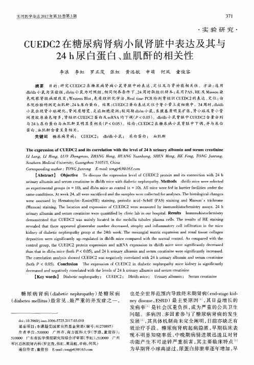 CUEDC2在糖尿病肾病小鼠肾脏中表达及其与24h尿白蛋白、血肌酐的相关性