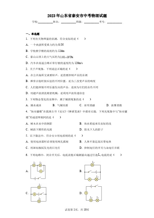 2023年山东省泰安市中考物理试题(含答案解析)