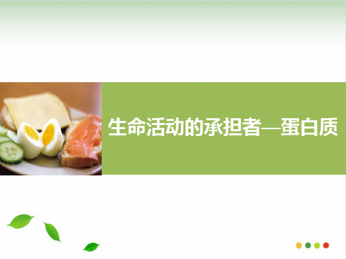 人教版高中生物必修一课件:生命活动的主要承担者——蛋白质课件PPT