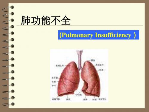 病理生理学：肺功能不全 (一)