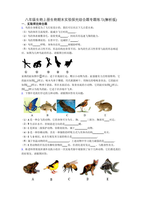 八年级生物上册生物期末实验探究综合题专题练习(解析版)[013]