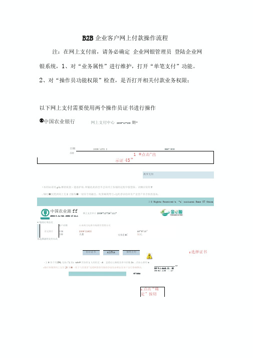 B2B企业客户支付操作流程