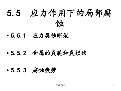 应力作用下的局部腐蚀