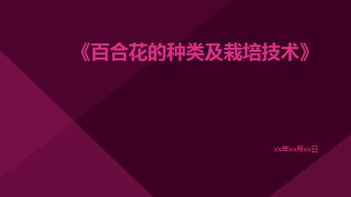 百合花的种类及栽培技术