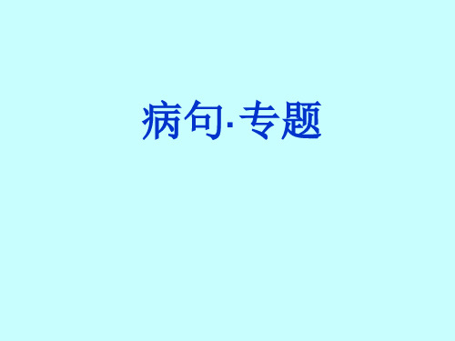 病句专题ppt课件