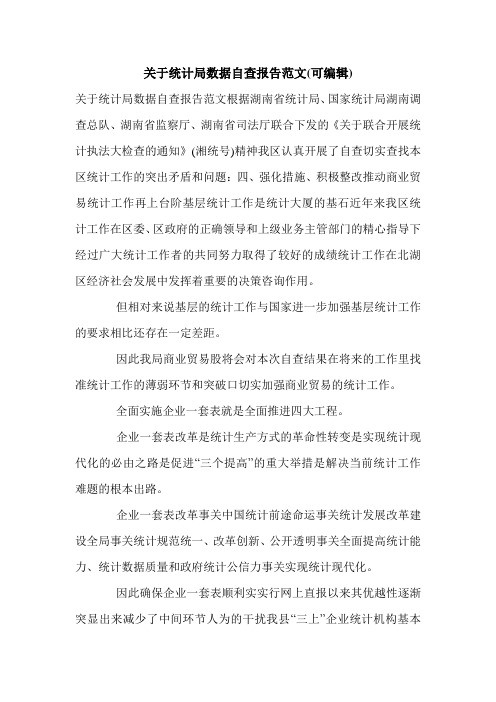 关于统计局数据自查报告范文(可编辑).doc