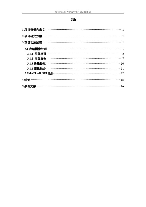 结题报告图像处理