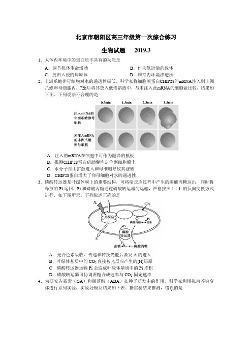 2019 朝阳 一模 生物试题及答案