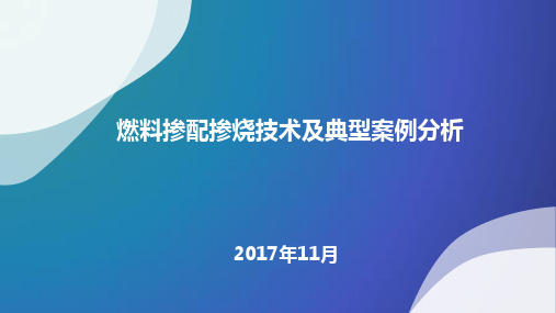 燃料掺配掺烧技术及典型案例分析