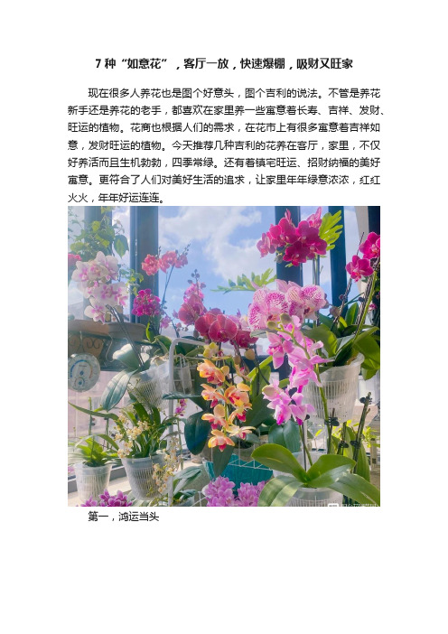 7种“如意花”，客厅一放，快速爆棚，吸财又旺家