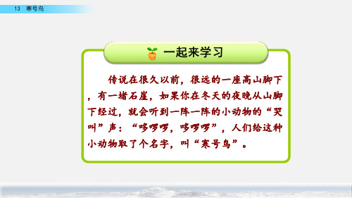 23年部编二年级上册语文13寒号鸟(完美版)PPT课件