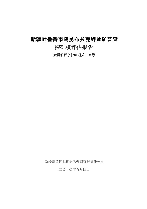 国际实业：新疆吐鲁番市乌勇布拉克钾盐矿普查探矿权评估报告 2010-07-30