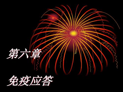 免疫应答课件