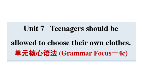 Unit7单元核心语法(GrammarFocus-4c)课件人教版英语九年级全册