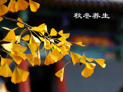 秋季食补