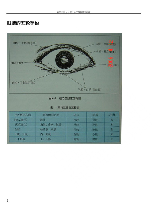 眼睛的五轮学说