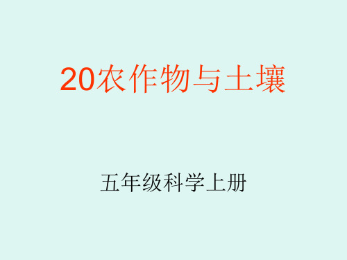 新建 农作物与土壤  (2)PPT课件