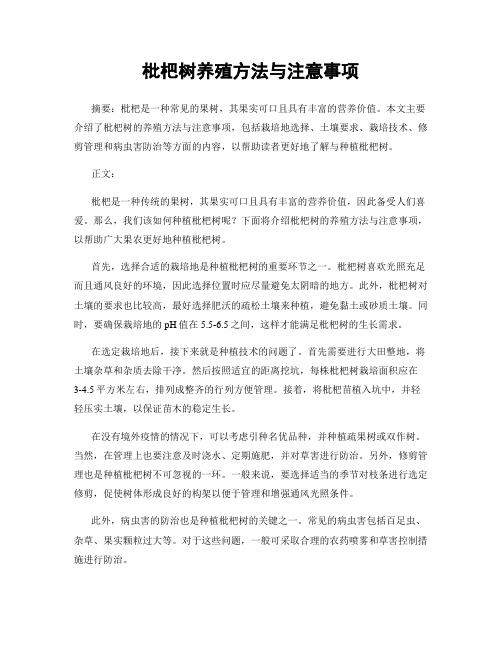 枇杷树养殖方法与注意事项