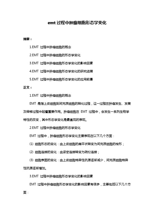 emt过程中肿瘤细胞形态学变化