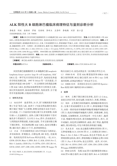 ALK阳性大B细胞淋巴瘤临床病理特征与鉴别诊断分析