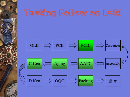 LCM测试信号系统简介ppt课件