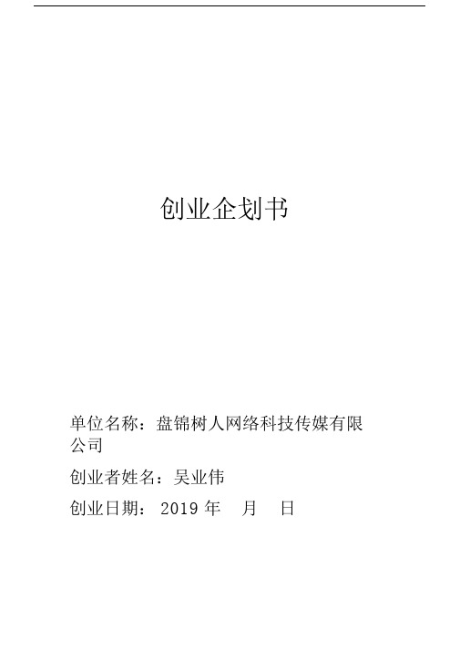 网红经济创业计划书.docx