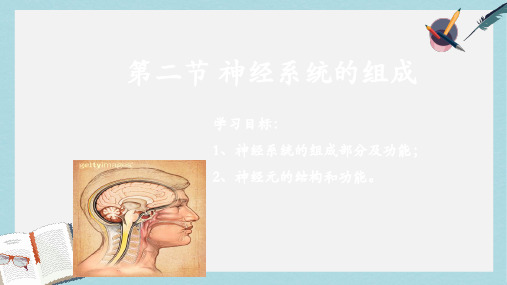 七年级生物下册人教版6.2神经系统的组成ppt课件