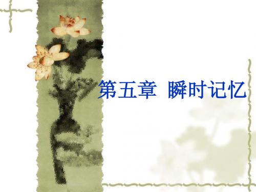 第五章瞬时记忆