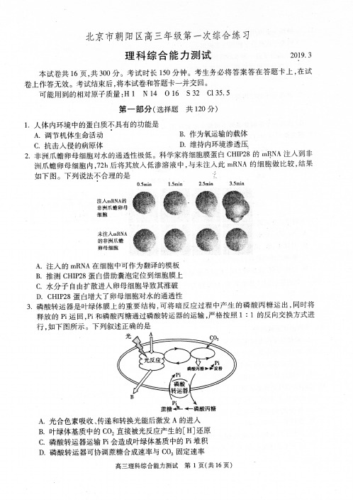 北京市朝阳区2019年高三年级第一次综合练习理科综合试题(含答案,pdf版)