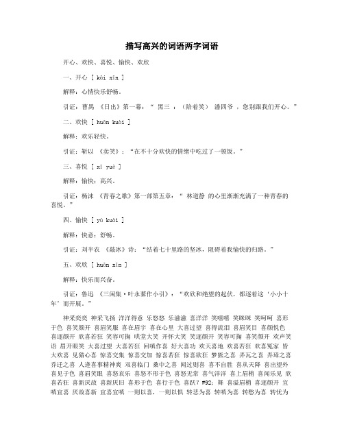 描写高兴的词语两字词语