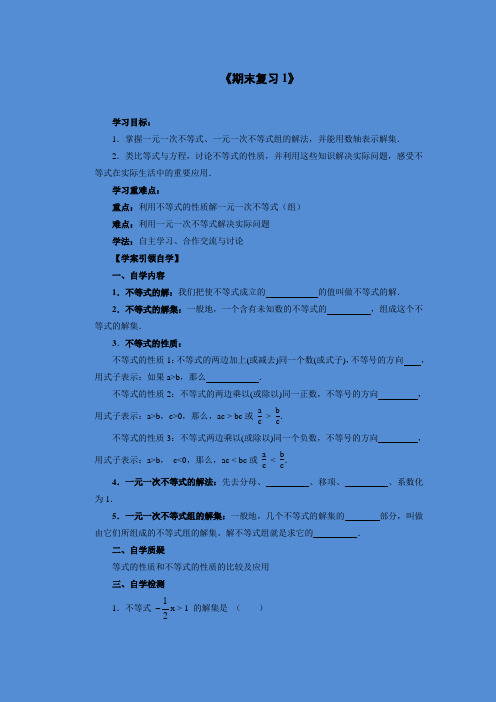 初中数学七年级下册期末复习 导学案3