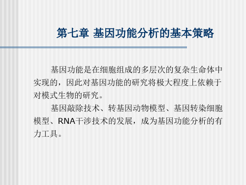 基因功能分析的基本策略